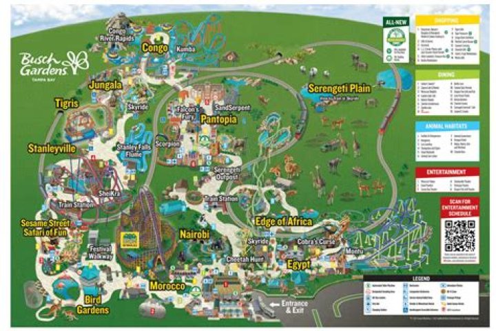 How many rides are at Busch Gardens Tampa?