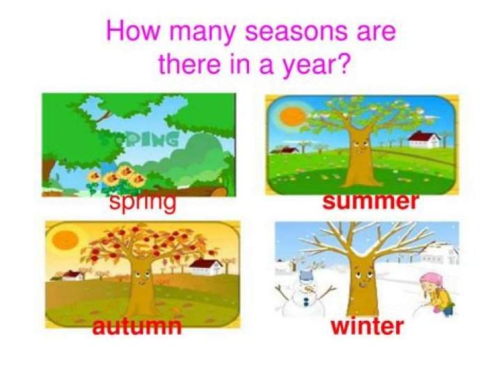 How many seasons are there for where the heart is?