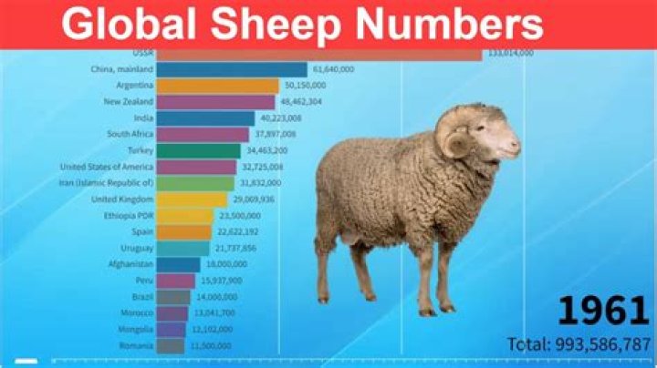 How many sheep are there in the Netherlands?