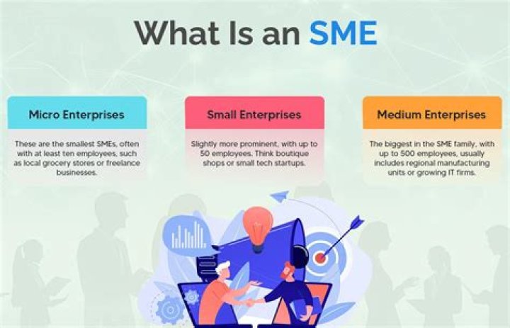 How many SMEs are there in India?