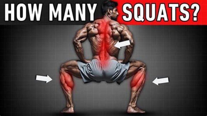 How many squats should I do a day to get a bigger but?