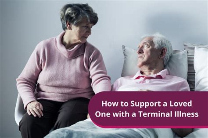 How many terminally ill patients are in the US?