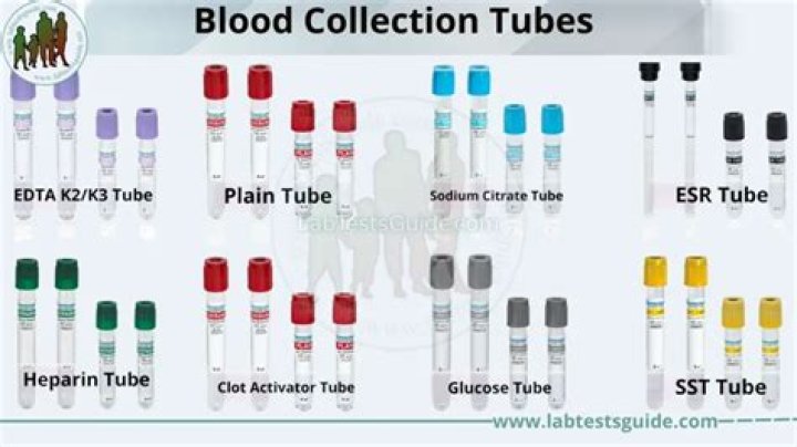 How many test tubes can a test tube holder hold at once?