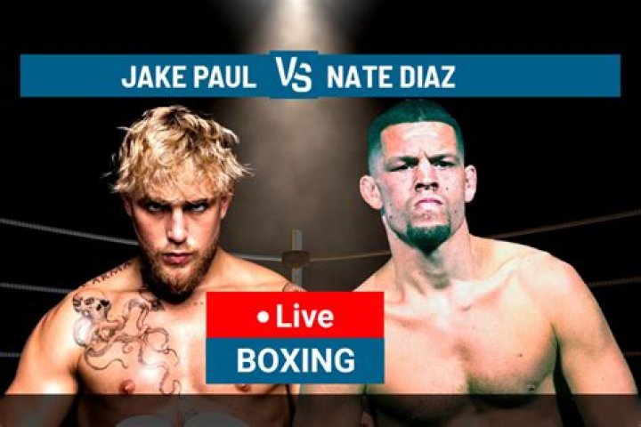 How many views did Jake Paul vs Nate?