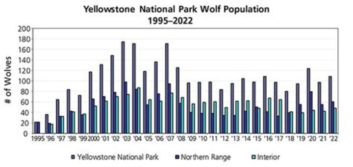 How many wolves are in the world?