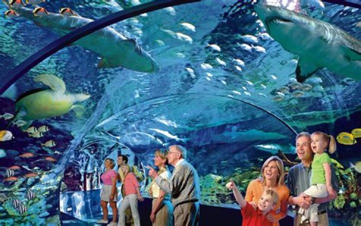 How much are tickets to Ripley's Aquarium in Gatlinburg Tennessee?