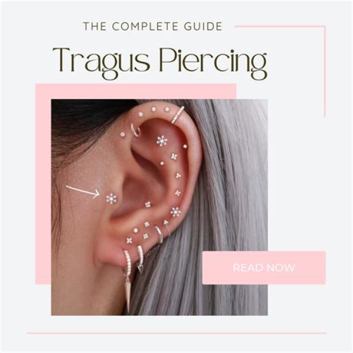 How much are Tragus earrings?
