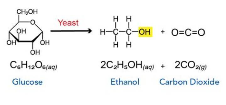 How much co2 does sugar and yeast produce?
