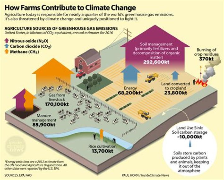How much do direct livestock emissions actually contribute to global warming?
