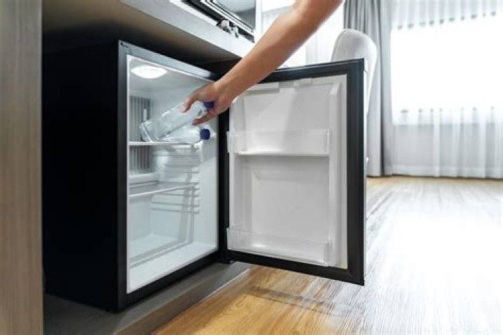 How much do mini fridges go for?
