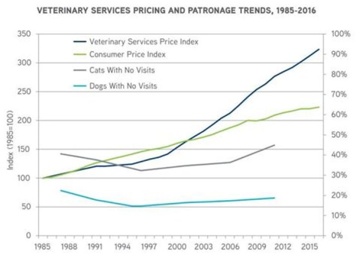 How much do vet bills cost UK?