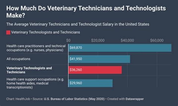 How much do veterinary technologist make an hour?