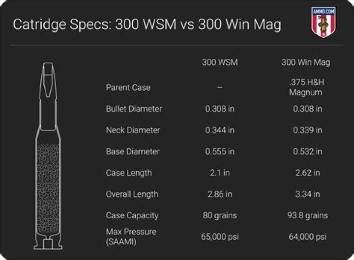How much does a 300 win mag drop at 400 yards?