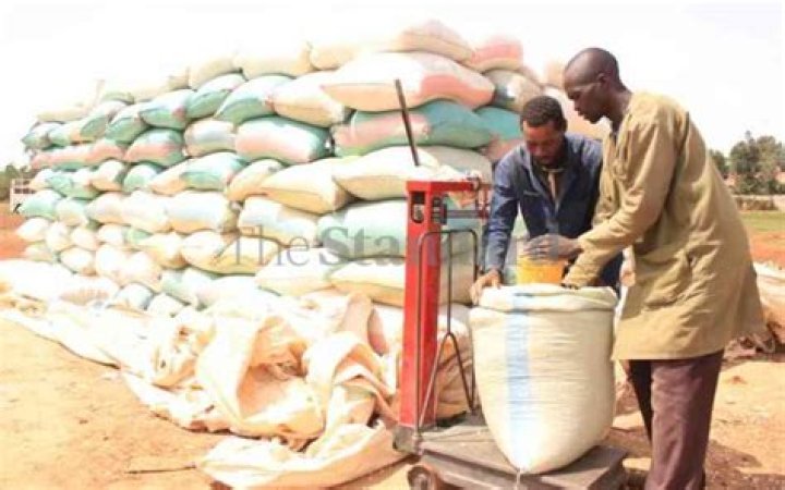 How much does a bag of maize cost in Kenya?