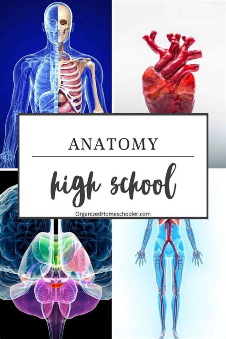 How much does a high school anatomy teacher make?