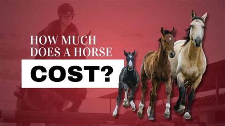 How much does a Tinker horse cost?