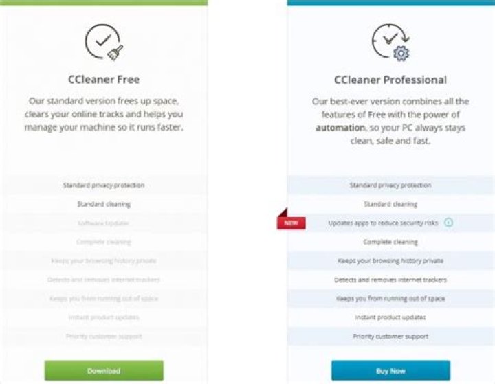 How much does CCleaner professional cost?