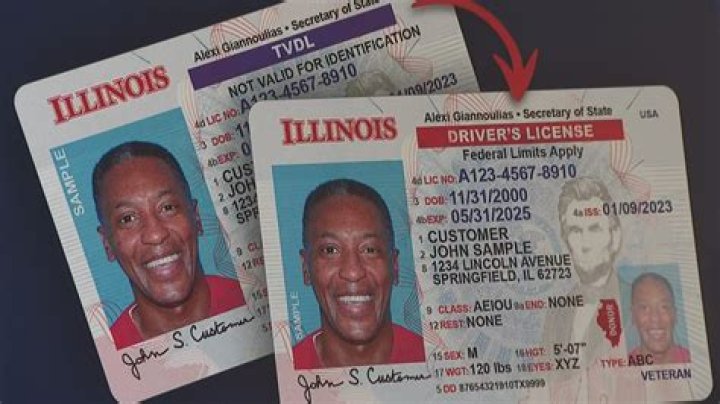 How much does it cost for an Illinois driver's license?