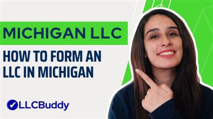 How much does it cost to set up an LLC in Michigan?