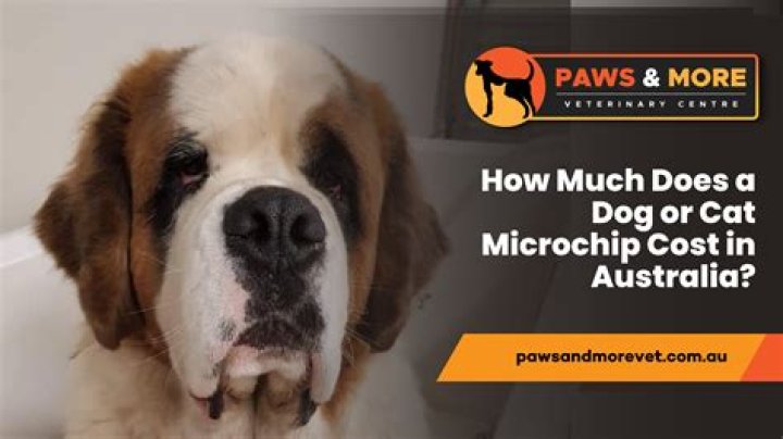 How much does it cost to take a dog to the vet for fleas?