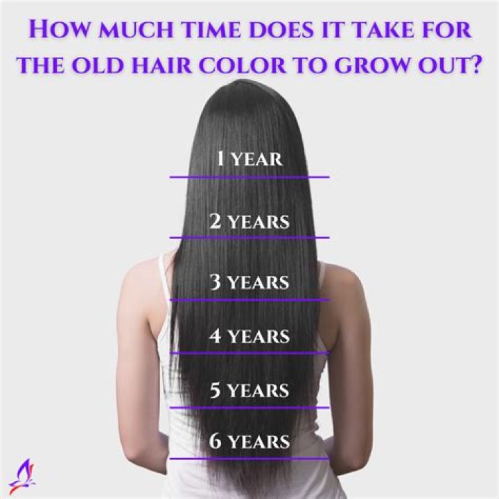 How much does Metro make a year?