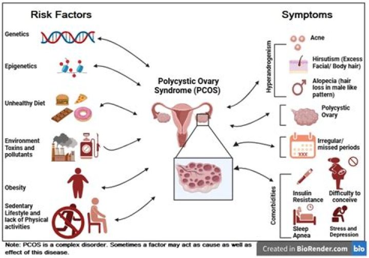 How Much Does PCOS increase risk of cancer?