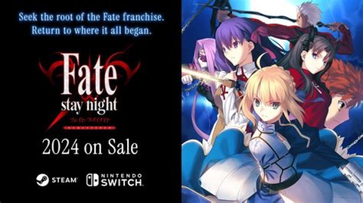 How much does the fate visual novel cost?