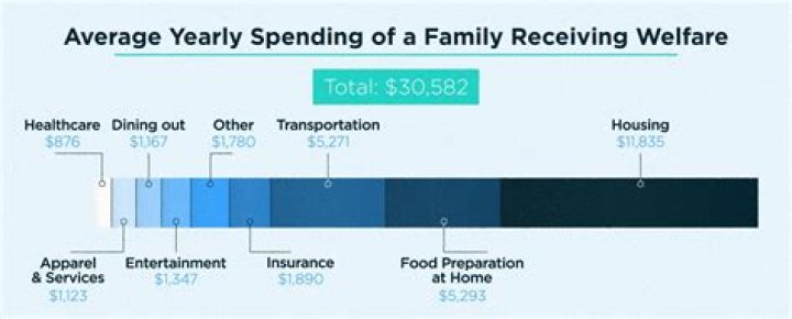 How much does Welfare pay for housing?