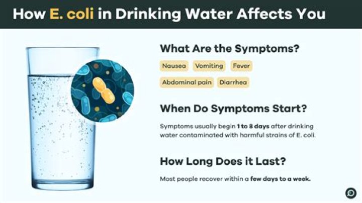 How much E coli is safe in drinking water?