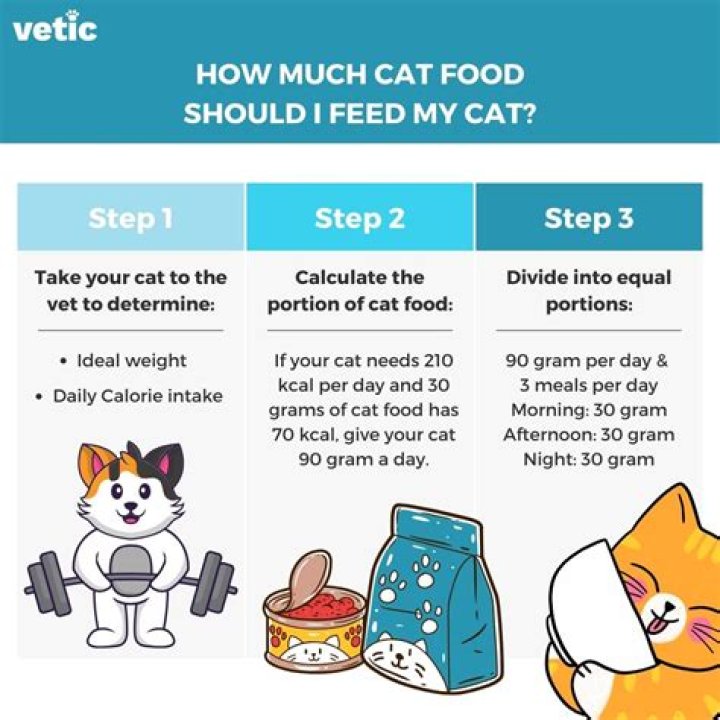 How much food should I store for a year?