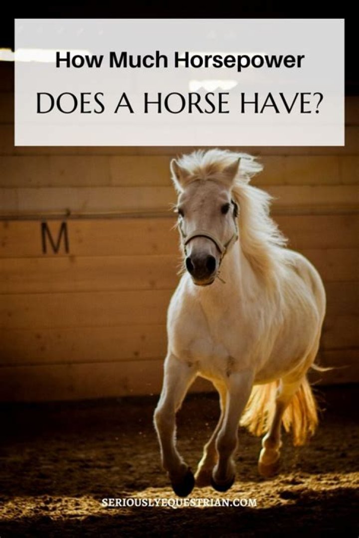 How much horsepower does a sc300 have?