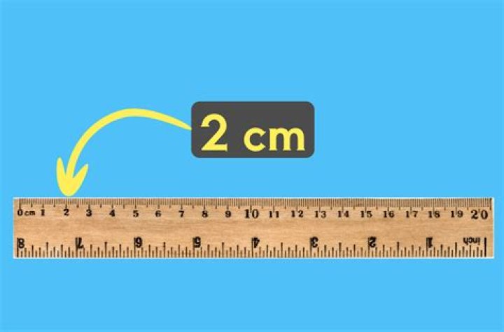 How much in CM is a pound?