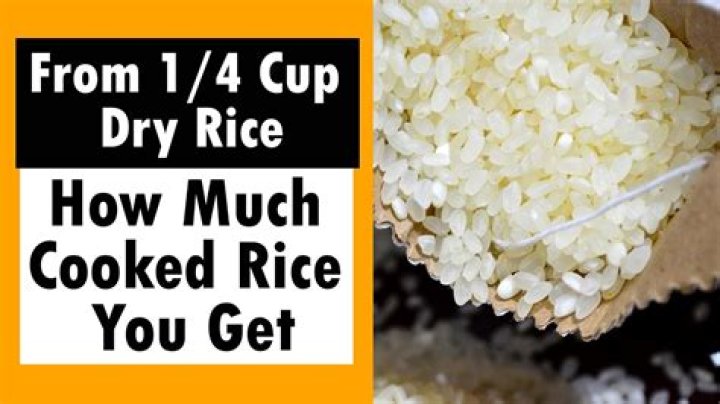 How much is a barrel of rice?
