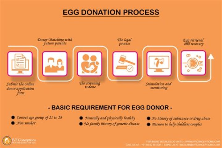 How much is a donor egg for IVF?