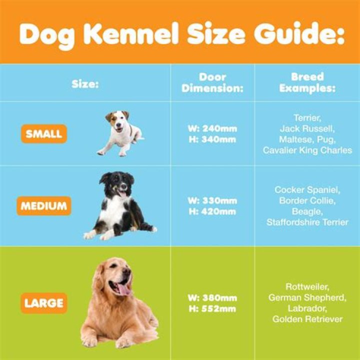 How much is a pet kennel?
