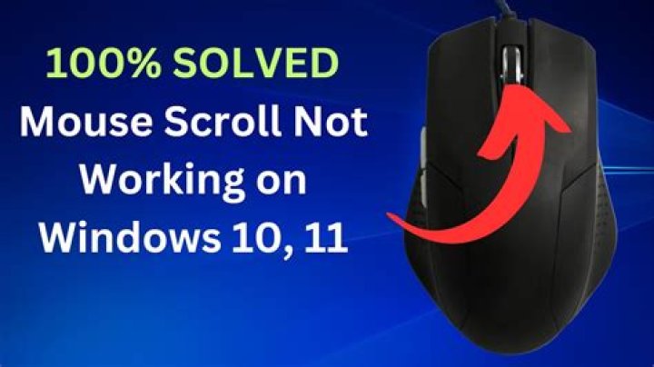 How much is a scroll mouse?