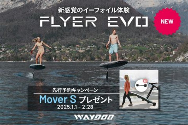 How much is a Waydoo flyer?