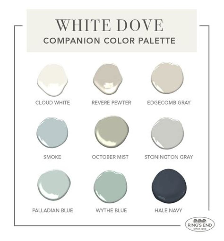 How much is a white dove worth?
