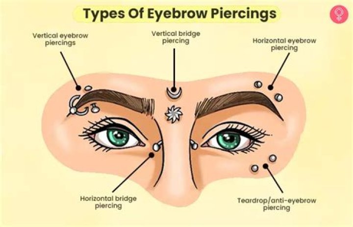 How much is an eyebrow ring?