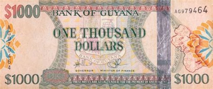 How much is duty in Guyana?