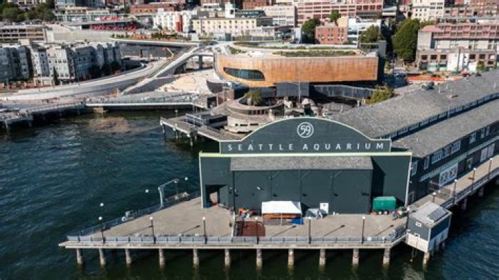 How much is the aquarium in Seattle?