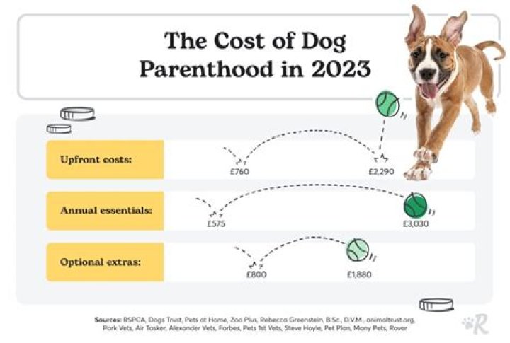 How much it costs to have a pet in Dubai?