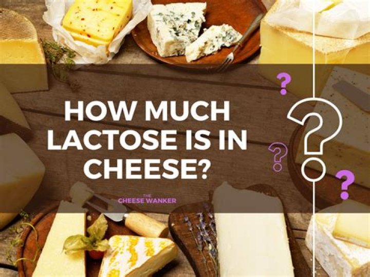 How much lactose is in sheep cheese?