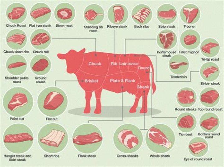 How much meat does a lion need per day?