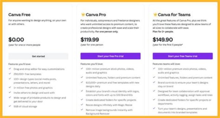 How much money does Canva make?
