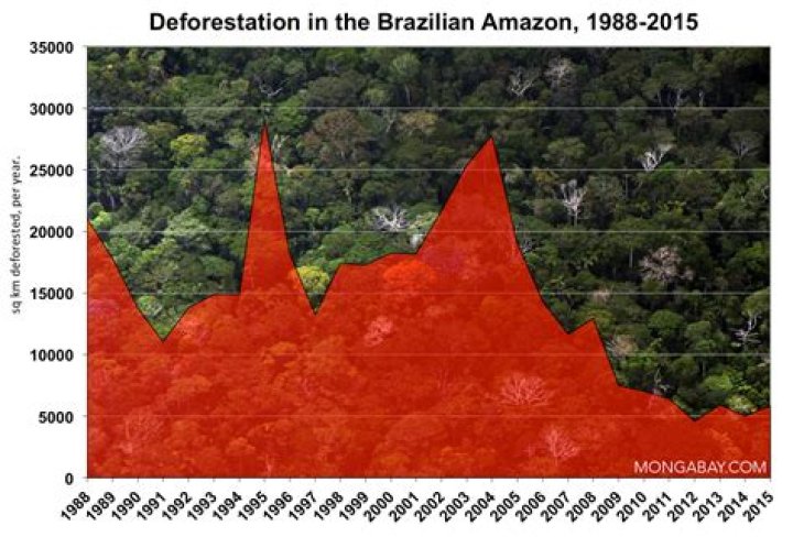 How much of the Brazilian rainforest is left?
