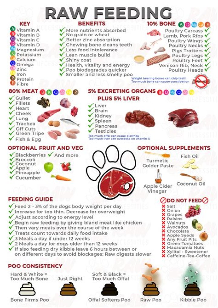 How much raw food should I feed my English bulldog?