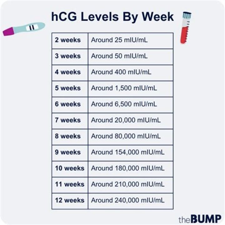 How much should hCG increase at 5 weeks?