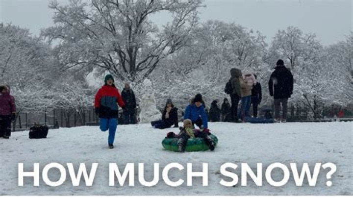 How much snow did Surrey get?