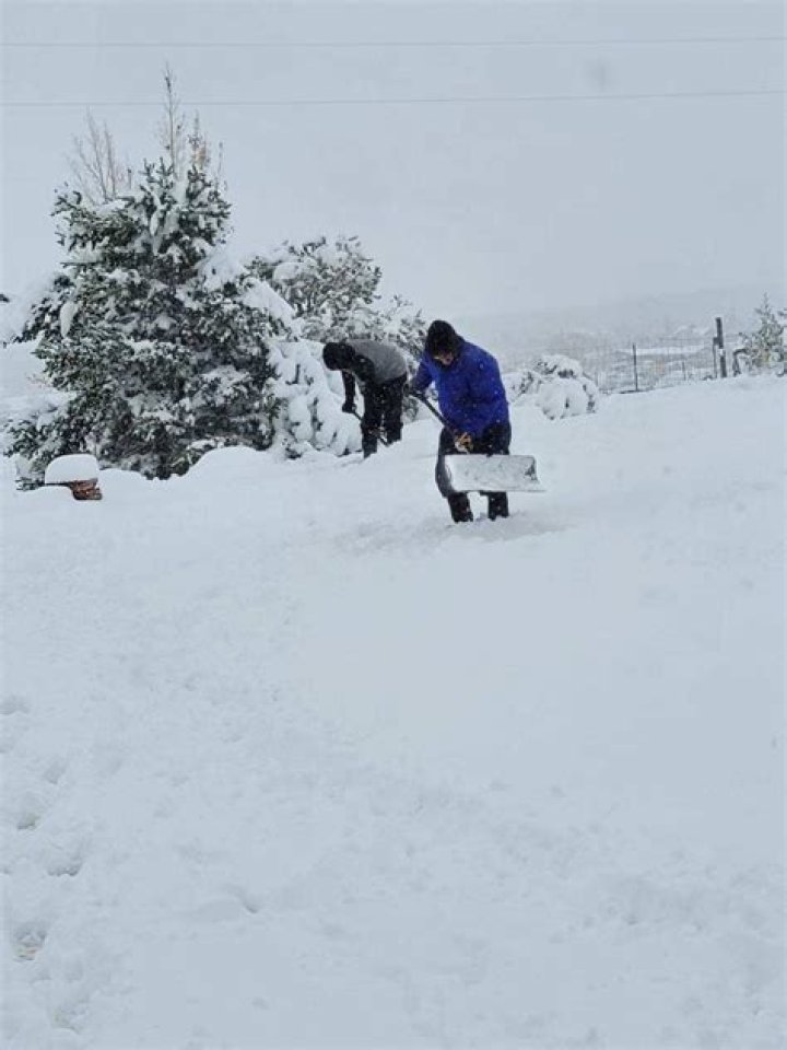 How much snow does Sandia Park get?